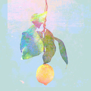 精品人伦一区二区三区蜜桃免费
